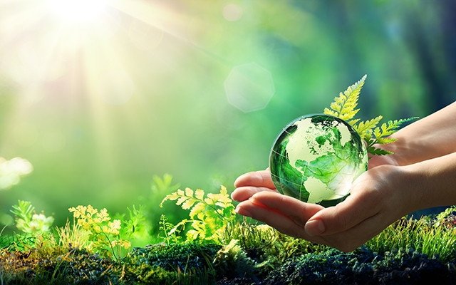 Eine nachhaltige Zukunft für unseren Planeten und für Ihr Geschäft